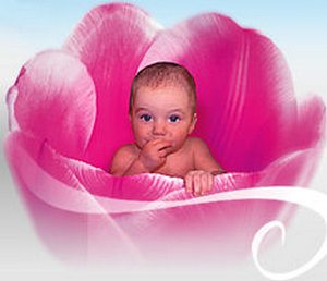Жесткая критика монс. Сгреччии в адрес Fertility Institutes Лос-Анджелеса