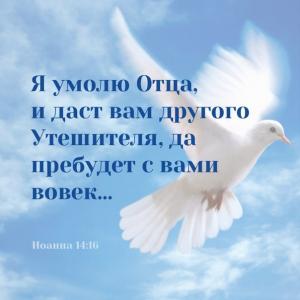 Совет епископов ОЦХВЕ поздравил верующих с праздником Пятидесятницы.
